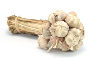 Beyaz arka plan üzerinde izole sarımsak kafa detayı