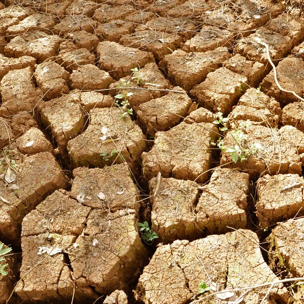 干旱土地 地进入旱季 地面开裂 没有热水 干旱季节的裂缝土壤 — 图库照片