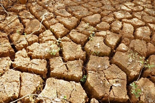 Terrain Aride Moulu Dans Saison Sèche Sécheresse Fissures Sol Pas — Photo