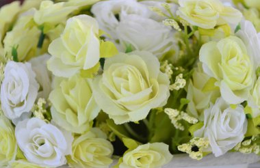 Güzel çiçekler içinde renkli arka plan