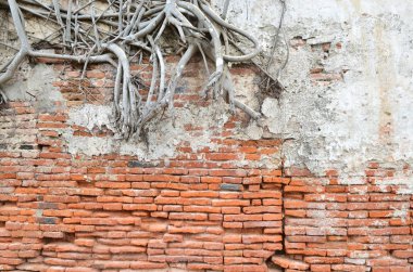 kök ahşap kaplı tuğla duvar