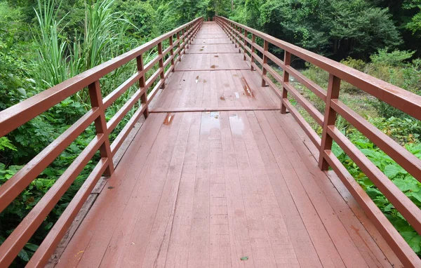 Most Džungle Národní Park Khao Yai Thajsko — Stock fotografie
