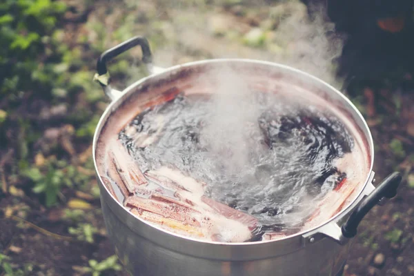 Dyeing process of natural dye