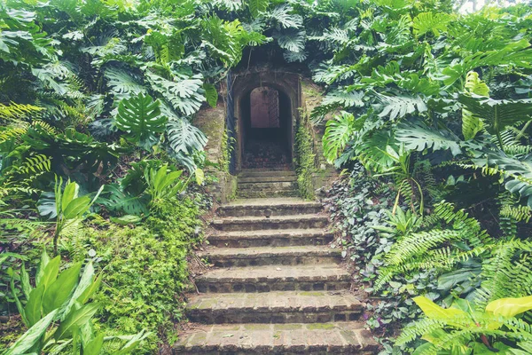 Tree-lined brick path through the forest at Fort Canning Park, one of Singapore's public green spaces.