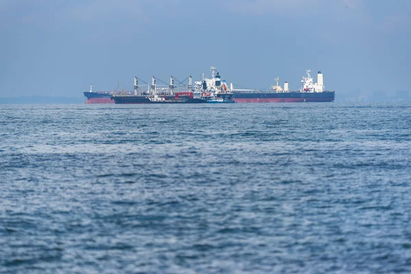 Lojistik ve taşımacılık için kargo yük gemisi ve kargo konteyneri lojistik ve nakliye, Singapur