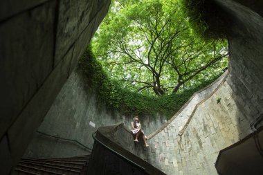 Ağaçlar ve doğa ile harmanlayarak bir merdiven.