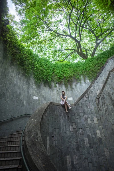 Uma Escadaria Que Mistura Com Árvores Natureza — Fotografia de Stock