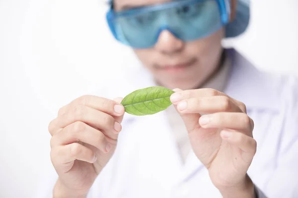Látszó Minta Növény Genetikai Laboratóriumot Mix Dolgozó Tudósok Verseny Pár — Stock Fotó