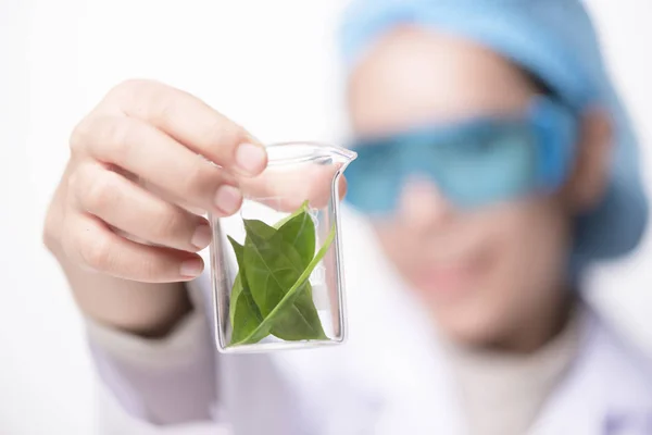 Wetenschapper Hand Met Groene Blad Glas Cuvette Laboratorium Begrip Van — Stockfoto