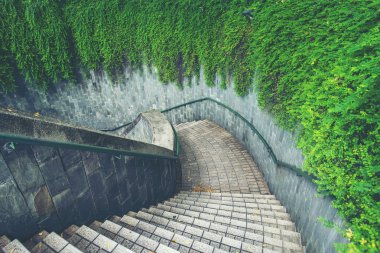 Ağaçlar ve doğa ile harmanlayarak bir merdiven.