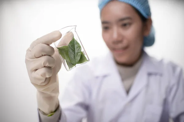 Doctora Científica Haciendo Medicina Herbal Laboratorio Con Hojas Hierbas Suplementos — Foto de Stock