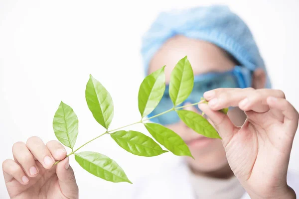 Doctora Científica Haciendo Medicina Herbal Laboratorio Con Hojas Hierbas Suplementos — Foto de Stock