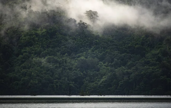 Die Landschaft Blick Auf Tropischen Regenwald Naturszene — Stockfoto