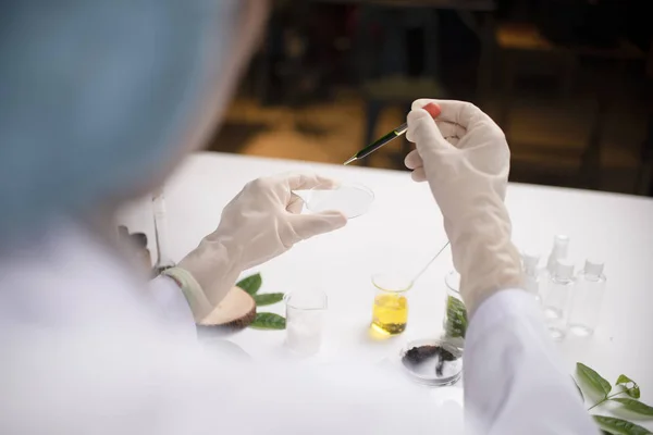Yeşil yaprak üzerinde laboratuvar cam küvet içinde tutan bilim adamı el. Biyoteknoloji kavramı.