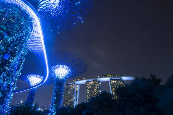 Singapore Juli 2018 Show Super Trees Grove Gardens Bay Night — Stockfoto