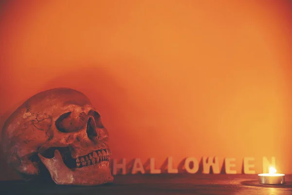 Crânio Humano Conceito Halloween Imagem Filtro Vintage — Fotografia de Stock