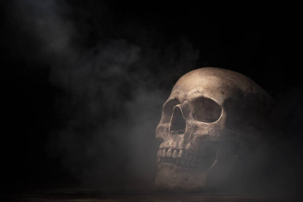 human skull in Halloween concept, vintage filter image