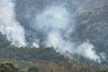 Tayland 'da yangın var.