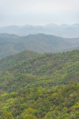 Ormanlı dağ yamacında alçak yerde bulut var. Her zaman yeşil olan kozalaklı ağaçlar manzaralı bir yerde gizleniyor.