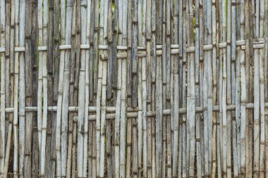 Yerli Tay tarzında bambu duvar. Bambu desen sepetçilik el yapımı
