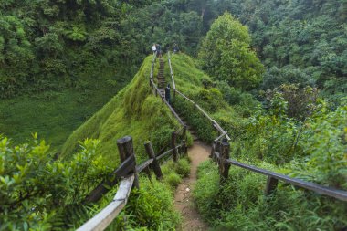 Champasak, Laos - 9 Mart: Mart'ta Laos Şelalesi 9, 2016, Champasak, Laos. Şelaleler dik bir yamacın tepesindeki sığ havuzlarda başlar. Bu 60 metre çağlayan ile ana düşüş yol.