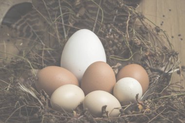 Ahşap bir arka plan üzerinde yumurta ile Paskalya konsepti, vintage filtreli Görüntüler