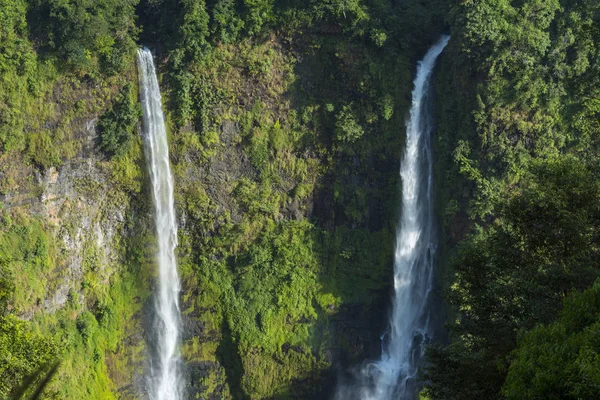 Creek Rainforest Waterfall — Stock Photo, Image