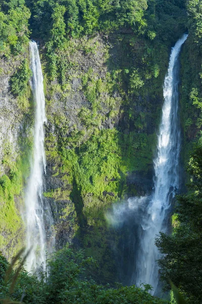 Creek Rainforest Waterfall — Stock Photo, Image