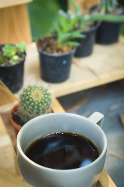 Café Negro Con Cactus —  Fotos de Stock