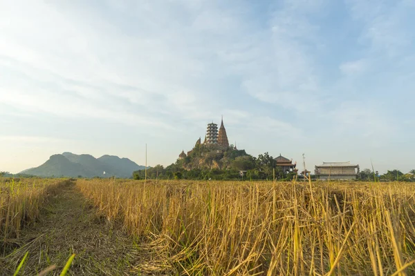 Vue Sur Rizière Avec Temple Thaïlandais — Photo