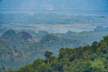 tropikal yağmur ormanlarında, Khao Yai Milli Parkı, Tayland doğal kaynak görünümü