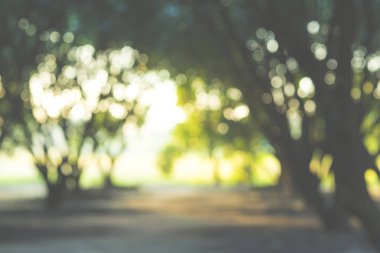 Doğanın arka plan bulanık