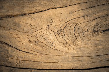 soyut doku arka plan ağaç