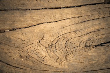 soyut doku arka plan ağaç