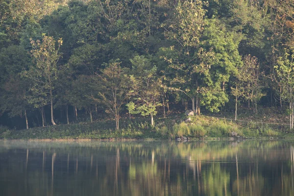 Utsikt Över Naturresurs Tropisk Regnskog Nationalparken Khao Yai Thailand — Stockfoto