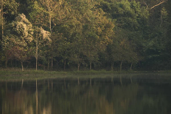 view of natural resource in tropical rain forest, Khao Yai National Park, Thailand