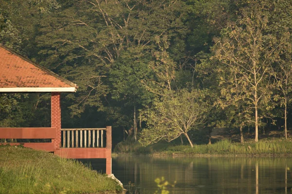 view of natural resource in tropical rain forest, Khao Yai National Park, Thailand