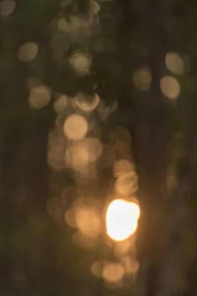 Fundo Abstrato Com Luzes Bokeh — Fotografia de Stock