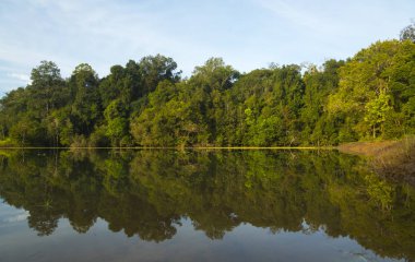 Khao Yai Milli Parkı'nda su gölü üzerinde orman yansıması, Tayland