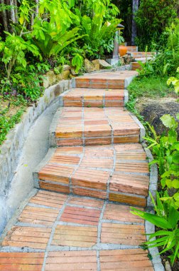 Doğa manzarasında iz