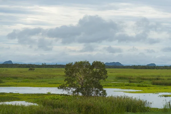 Thailändischer Natürlicher Wassersee — Stockfoto