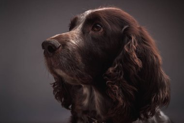 Kahve fincan sıcak içecek, holding rahat kıyafetler giymiş genç esmer kadının