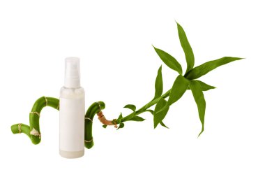 Kozmetik ürün bir kavanoz ve bir filiz bambu, izole, kavramı reklam