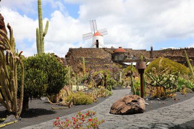 Kaktüs Bahçe Cesar Manrique, İspanya tarafından tasarlanmıştır Lanzarote Adası