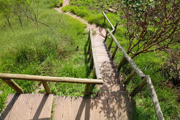 Wooden stairs into the forest on Jaragua Peak, Brazil
