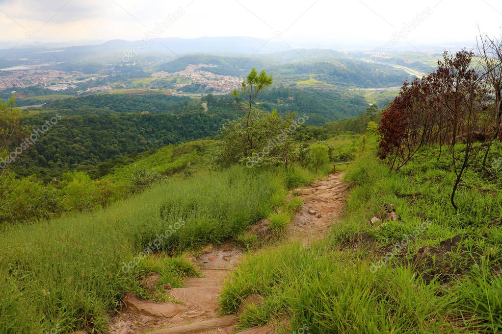 Beautiful view of path in Jaragua State Park, Brazil