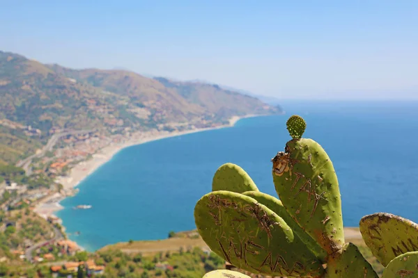 Bellissimo panorama paesaggistico della costa siciliana con focus sul cactus. Mar Mediterraneo azzurro e monti verdi a Taormina, isola di Sicilia, Italia. Focus selettivo . — Foto Stock