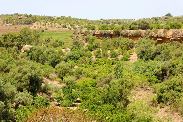 Vegetation im Tal der Tempel, Agrigent, Sizilien — Stockfoto