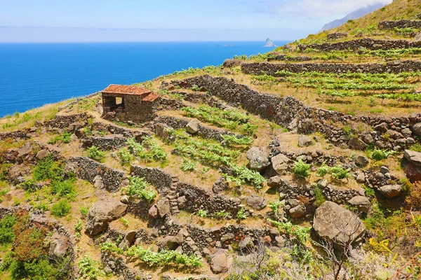 Anaga Rural Park prachtig wild landschap op Tenerife eiland, Canarische eilanden, Spanje — Stockfoto