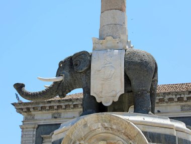 Catania'da Kara Fil, Sicilya, İtalya